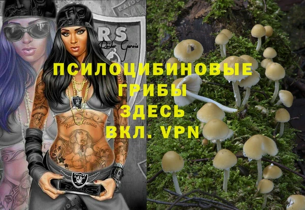 амф Абинск